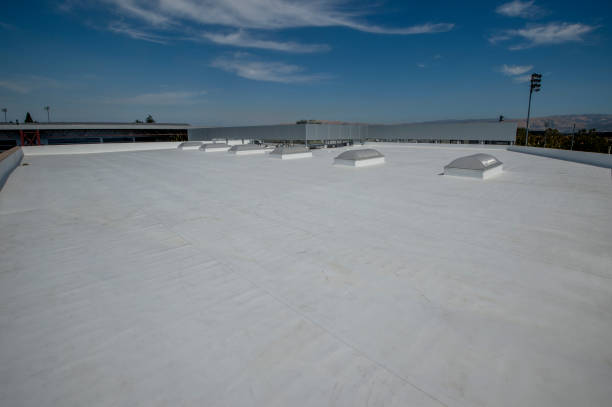Best Roof Coating and Sealing  in Ransomville, NY